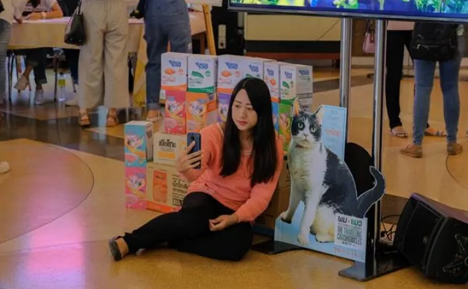Movie Guide: แฟนคลับหนังญี่ปุ่นรวมพลังคนรักแมวปิดโรงสกาลา