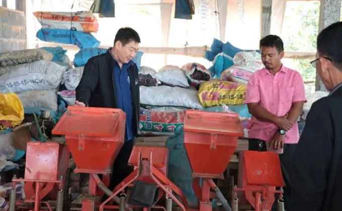 สหกรณ์การเกษตรในอุบลราชธานีพร้อมประสานเอกชนรับซื้อข้าวโพดหลังนาจากเกษตรกร