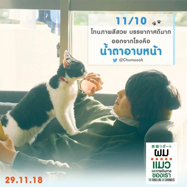 Movie Guide: The Travelling Cat Chronicles ผมแมวและการเดินทางของเรากระแสซึ้งโดนใจคนไทย เรียกน้ำตา คนดูท่วมโรง