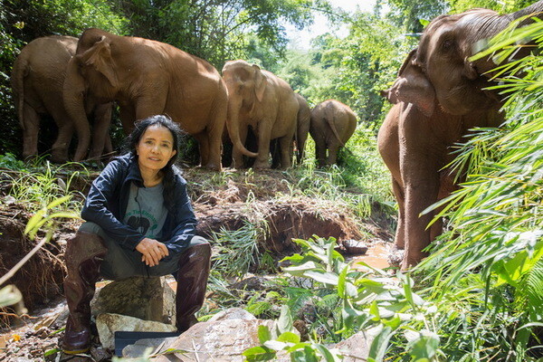 มูลนิธิอนุรักษ์ช้างและสิ่งแวดล้อม ร่วมกับ โครงการช้างเอเชีย จัด “Elephant Travel Mart 2018” ยกระดับการท่องเที่ยวเชิงนิเวศในไทย