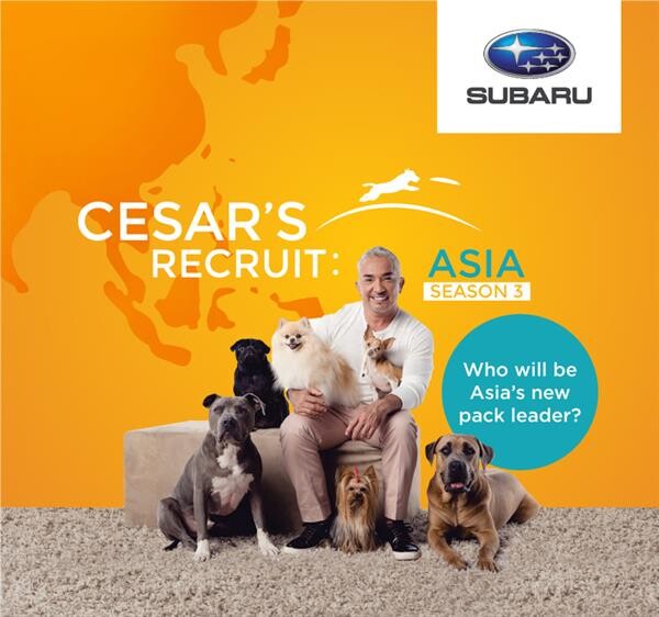 ซีซาร์ มิลลาน กลับมาอีกครั้งเพื่อเฟ้นหาจ่าฝูงคนใหม่ของทวีปเอเชีย กับซีซั่นที่ 3 ของรายการ “ซีซาร์ รีครูท เอเชีย” (Cesar’s Recruit Asia) ทดสอบความแข็งแกร่งของสุดยอดนักฝึกสุนัข