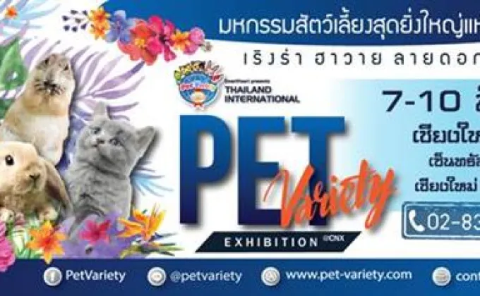 SmartHeart presents Thailand International