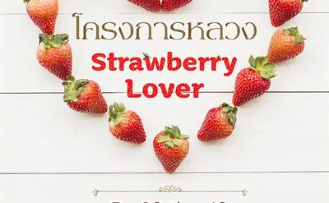 โครงการหลวง Strawberry Lover –