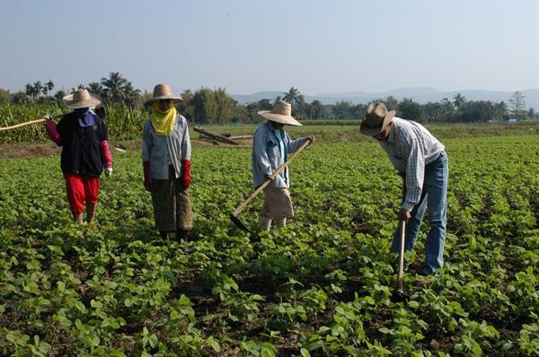 กรมส่งเสริมสหกรณ์จัดงานครบรอบ 47 ปี วันก่อตั้งกลุ่มเกษตรกรในประเทศไทย ส่งเสริมเกษตรกรรวมกลุ่มเข้มแข็งยกระดับรายได้ภาคการเกษตร
