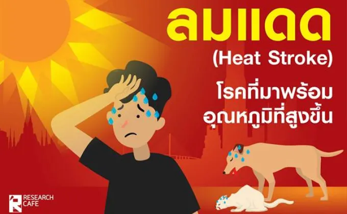ลมแดด (Heat Stroke) โรคที่มากับอุณหภูมิที่สูงขึ้น