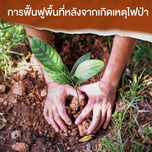“ผู้พิทักษ์ป่า” กับภารกิจ “ดับไฟป่า” เพื่อปกป้องผืนป่าของไทย แนะวิธีรับมือหากต้องอยู่ในพื้นที่เสี่ยง