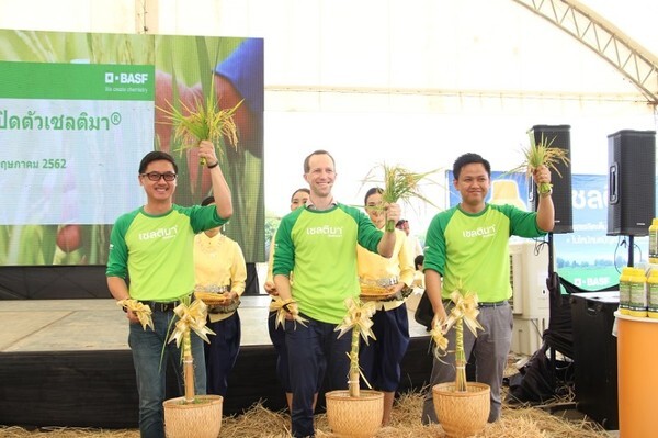 สารป้องกันกำจัดโรคพืชตัวใหม่จากบีเอเอสเอฟช่วยชาวนาไทยเพิ่มคุณภาพของเมล็ดข้าวและเพิ่มรายได้
