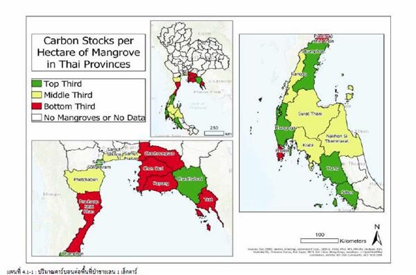 งานวิจัย ยืนยัน ระบบนิเวศป่าชายเลนไทย มีมูลค่าทางเศรษฐกิจ เบื้องต้นพบพื้นที่ป่าชายเลน 16 อำเภอใน 8 จังหวัด คุ้มค่าแก่การอนุรักษ์