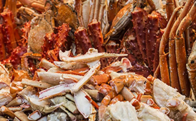 Crab carnival features okinawa