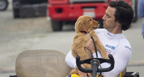 Movie Guide: ตัวอย่างแรกซับไทย "The Art of Racing in the Rain" พบกับสุนัข ที่จะมาสอนคนทั้งโลก ในการเป็นคน!