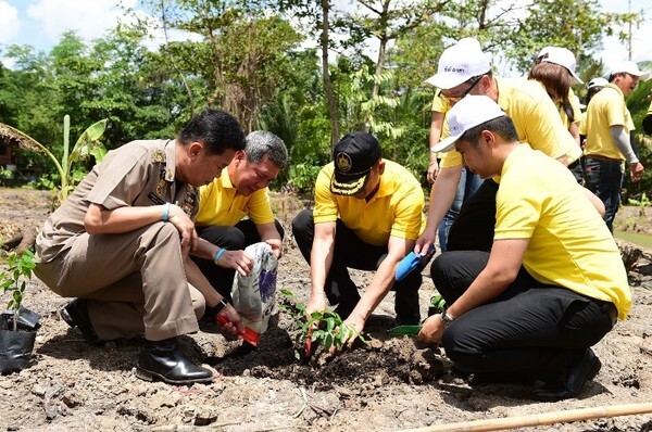 คิกออฟโครงการ OUR Khung Bang Kachao ด้านพื้นที่สีเขียว “เครือซีพี-ทรู”รวมพลังจิตอาสาปลูกป่าเฉลิมพระเกียรติพระเจ้าอยู่หัว ผนึกภาคีเครือข่าย 31 องค์กร เพิ่มพื้นที่สีเขียว เติมแหล่งโอโซนที่คุ้งบางกะเจ้า มุ่งขับเคลื่อนสร้างมูลค่าเพิ่ม ยกระดับคุณภาพชีวิตชุมชน