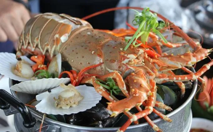 Phuket Lobster Festival 2019 Season