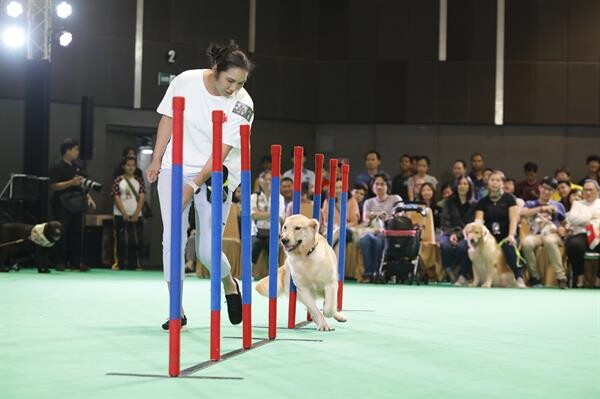 ฟิตร่างกายน้องหมาท้าประลอง Dog Agility ในงาน Pet Expo Championship 2019 ครั้งที่ 3