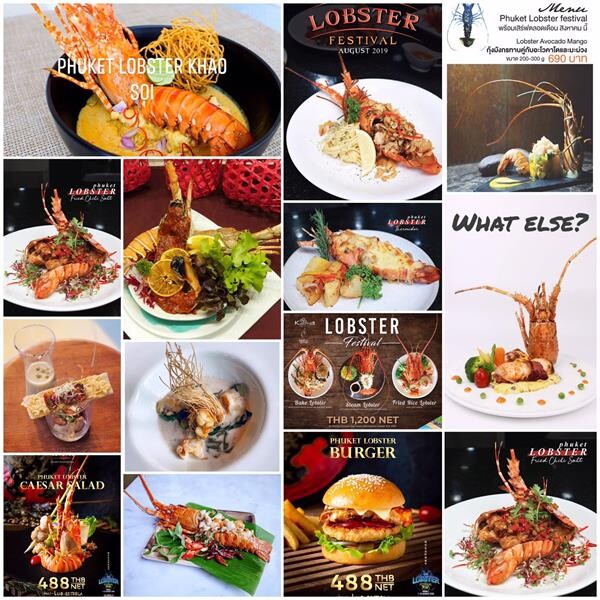 เชิญชวนลิ้มรสกุ้งมังกร 7 สี ราคาย่อมเยาว์ ในงาน Phuket Lobster Festival 2019 Season 4 ตั้งแต่วันนี้-31 ส.ค.นี้