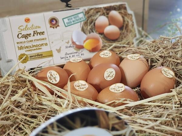 ซีพีเอฟ เปิด ฟาร์มไก่ไข่ เลี้ยงแบบธรรมชาติ โชว์การผลิตอาหารด้วยความใส่ใจเพื่อสุขภาพของผู้บริโภค