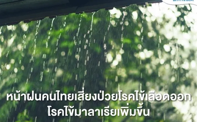 หน้าฝนคนไทยเสี่ยงป่วยโรคไข้เลือดออก