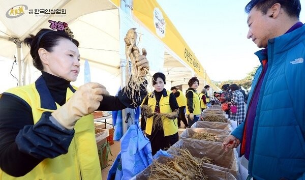 สมาคมโสมเกาหลีประกาศจัดเทศกาลโสมเกาหลีทั่วประเทศ