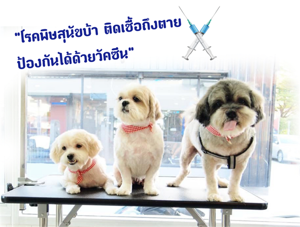 28ก.ย.วันป้องกันโรคพิษสุนัขบ้าโลก 2019 รณรงค์คนไทยช่วยขับเคลื่อนปลอดโรค100% ในปี2562