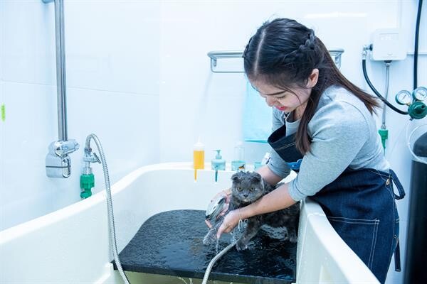รพส.ทองหล่อ เปิด “Pet Wellness Center” เลานจ์สัตว์เลี้ยงแห่งแรกของไทย เอาใจคนรักสัตว์ด้วยบริการครบวงจร ที่เซ็นทรัล อีสต์วิลล์