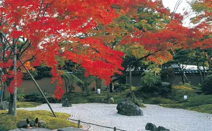 เริ่มแล้วฤดูใบไม้เปลี่ยนสีที่โทโฮคุตอนใต้
