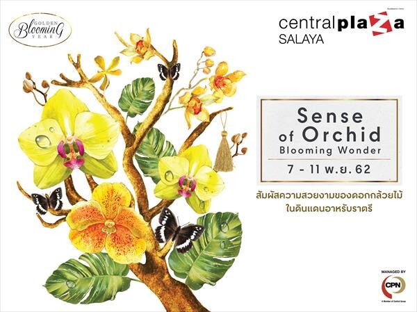 ศูนย์การค้าเซ็นทรัลพลาซาศาลายา เชิญสัมผัสความงามหลากหลายพันธุ์ดอกกล้วยไม้ ในดินแดนอาหรับราตรี “The Sense Of Orchid 2019 ”
