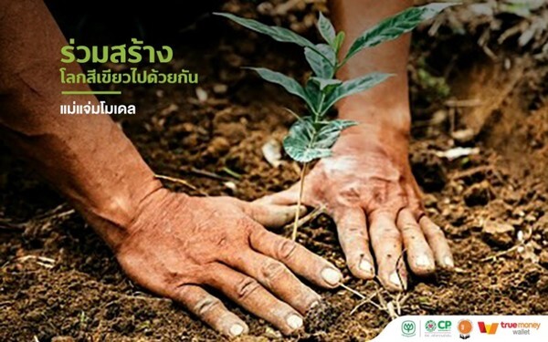 เครือเจริญโภคภัณฑ์ ผนึกกำลังภาคี 6 องค์กรขับเคลื่อน “แม่แจ่มโมเดล” ต่อเนื่อง เสริมพลังชุมชน สร้างป่า สร้างรายได้ ฟื้นฟูป่าต้นน้ำ แก้ไขปัญหาหมอกควันไฟป่าอย่างยั่งยืน พร้อมเชิญชวนประชาชนร่วมสนับสนุนบริจาคผ่านแอป ทรูมันนี่ วอลเล็ท