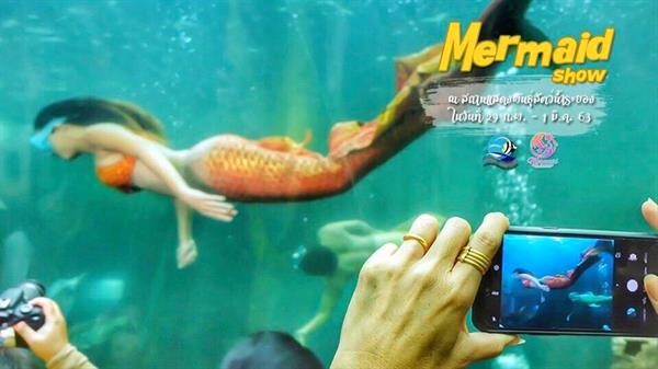 Mermaid Show กลับมาแล้ว!! กรมประมงเชิญชวนชมการแสดงเหล่านางเงือกแสนสวย อวดลีลาใต้สายน้ำ ณ สถานแสดงพันธุ์สัตว์น้ำระยอง 29 ก.พ. – 1 มี.ค. 2563 นี้