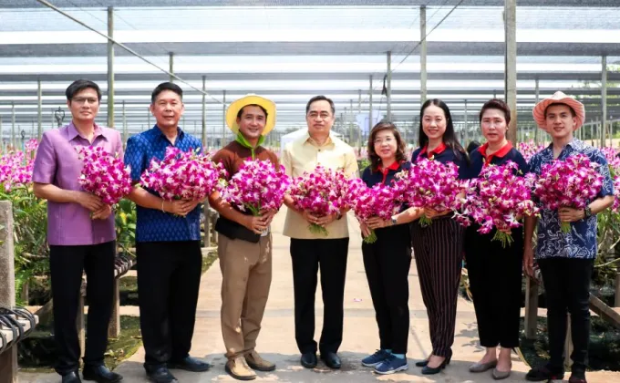 ภาพข่าว: ซีพีเอ็น ชวนช่วยเกษตรกรไทยช้อปดอกกล้วยไม้