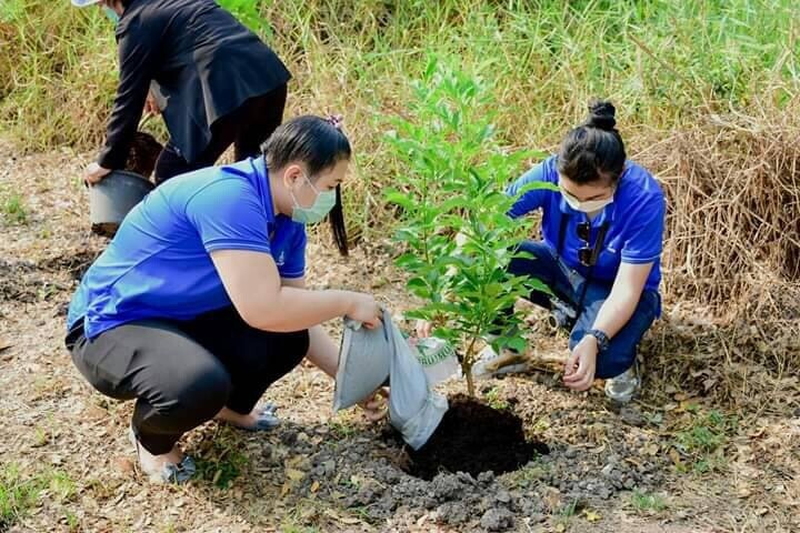 ภาพข่าว: SCN ร่วมโครงการปลูกต้นไม้ หวังฟอกอากาศบริสุทธิ์ ลดฝุ่น PM 2.5 คืนอากาศดีให้ประชาชนในระยะยาว