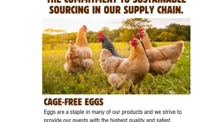 เบอร์เกอร์คิง ประเทศไทย ประกาศนโยบายเลือกใช้ไข่ไก่จากฟาร์มปลอดกรงขัง