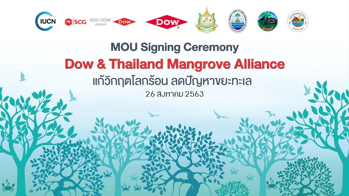 Dow - ทช. - IUCN พร้อมเซ็น MOU ชูปากน้ำประแส นำร่องโครงการ Dow & Thailand Mangrove Alliance