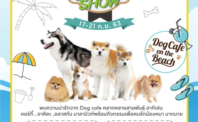 PATTAYA DOG SHOW: Dog Cafe on