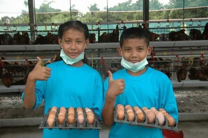 ตามดู "โครงการเลี้ยงไก่ไข่เพื่ออาหารกลางวันนักเรียน" ในศูนย์การเรียนรู้ อา โยน อู  อ.แม่สอด จ.ตาก