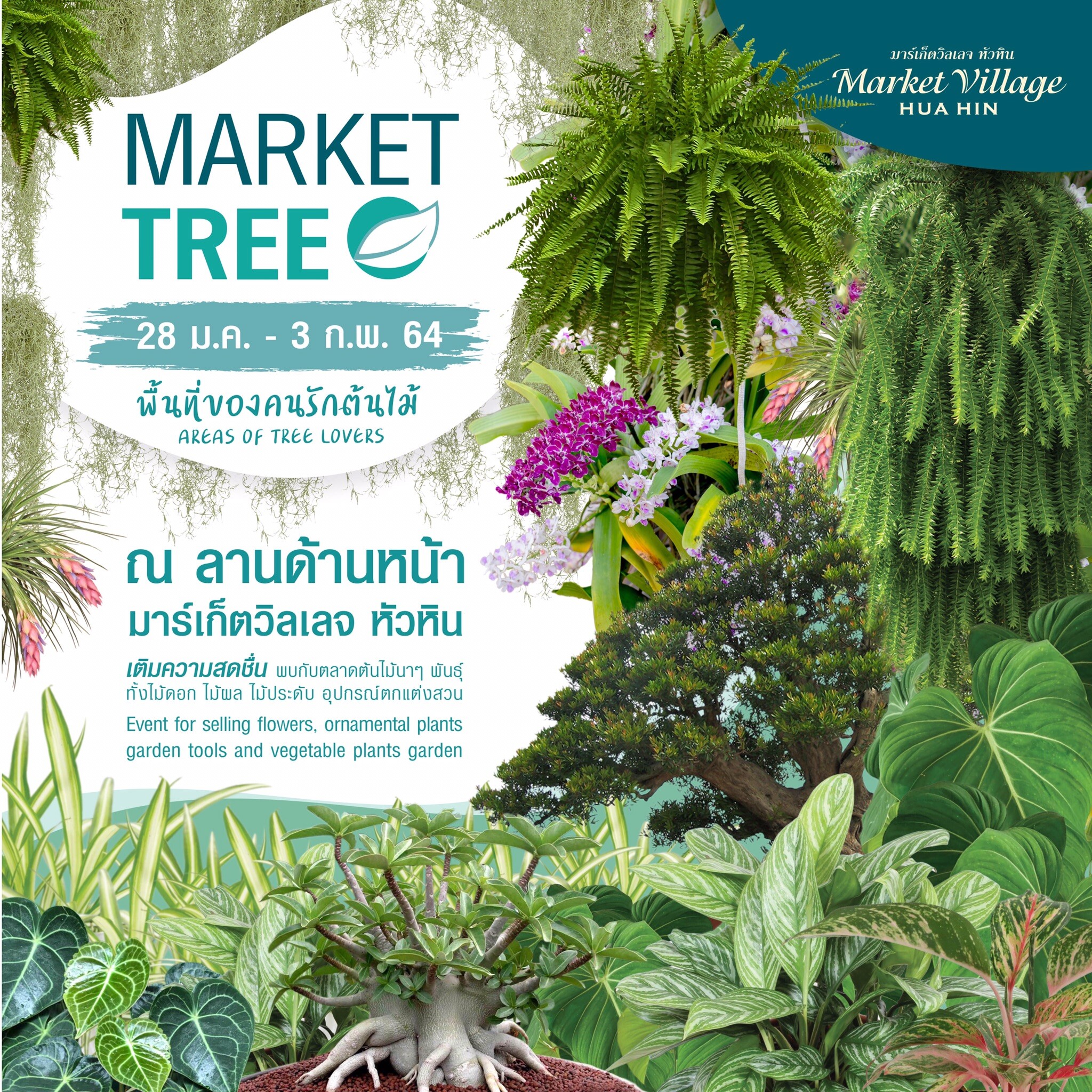 Market Tree ตลาดของคนรักต้นไม้ At ศูนย์การค้ามาร์เก็ตวิลเลจ หัวหิน
