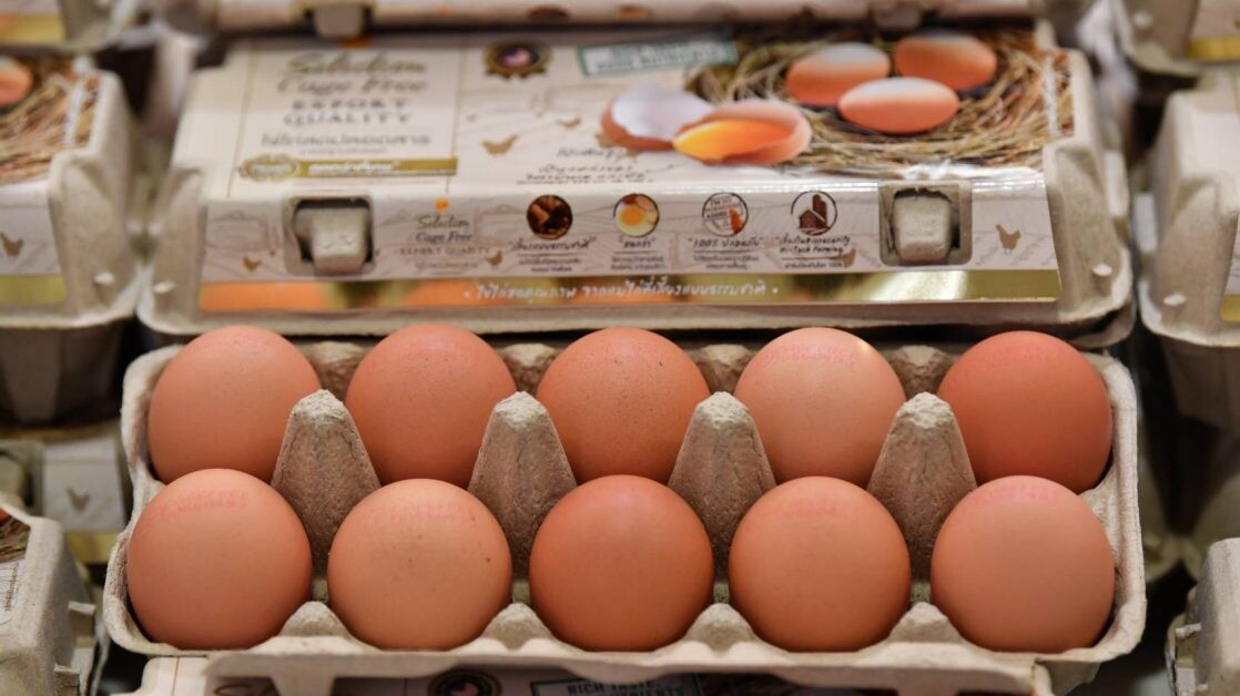 ซีพีเอฟ หนุนรัฐเร่งส่งออกไข่ระบายส่วนเกิน สร้างเสถียรภาพราคาในประเทศช่วยเกษตรกร