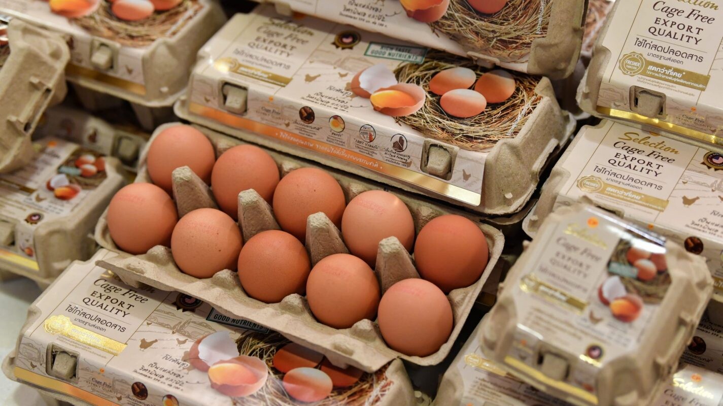 ไข่ไก่ cage free จากแม่ไก่อารมณ์ดี สด สะอาด ปลอดภัย ตอบโจทย์เทรนด์และเป็นทางเลือกให้ผู้บริโภค
