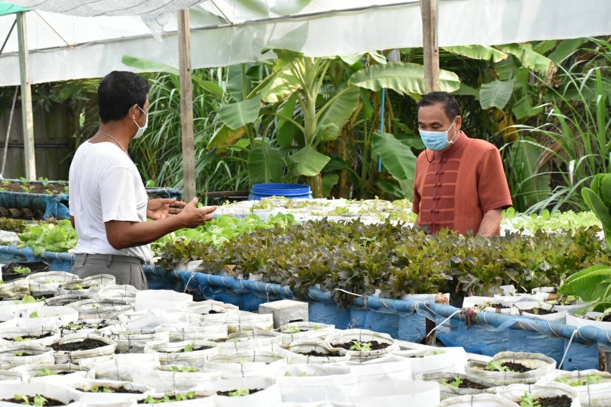 มกอช. ลุยสวนเกษตรอินทรีย์ปทุมธานี พร้อมแนะนำเกษตรกร รู้ลึกเรื่องมาตรฐานเกษตรอินทรีย์ การใช้และแสดงเครื่องหมายรับรองมาตรฐาน Q และ Organic Thailand