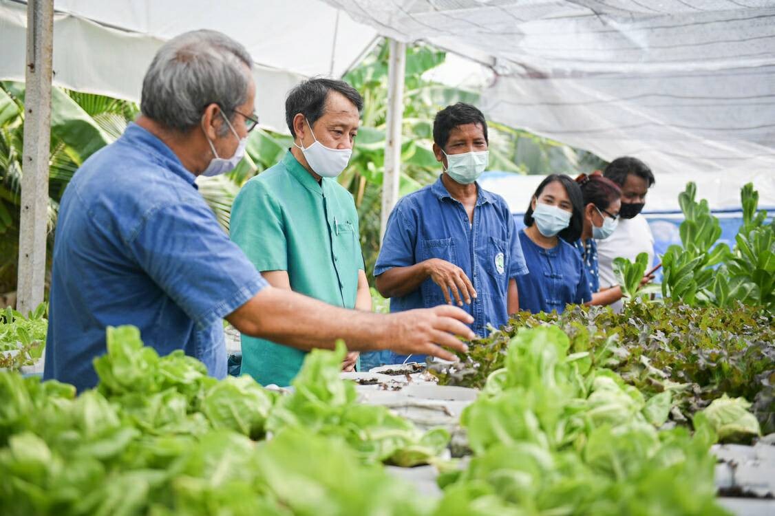 มกอช. มอบป้าย เครื่องหมายรับรองมาตรฐานเกษตรอินทรีย์ Organic Thailand กลุ่มวิสาหกิจชุมชนสวนเราเกษตรอินทรีย์