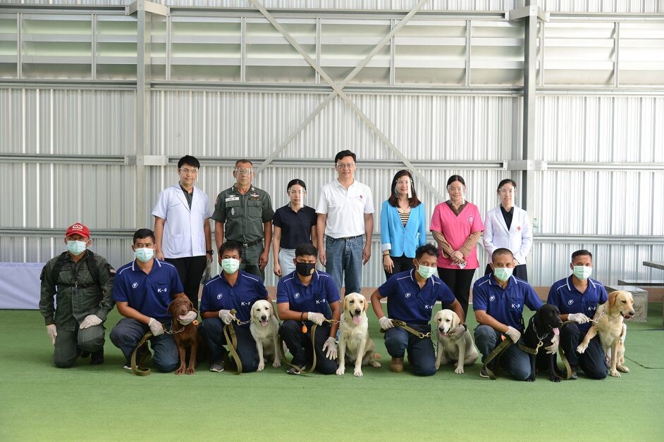 จุฬาฯ วิจัยสำเร็จ "สุนัขดมกลิ่นหาผู้ติดเชื้อโควิด" ครั้งแรกในประเทศไทย