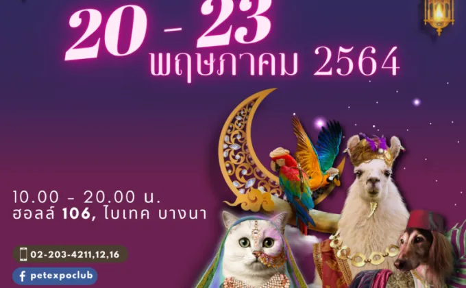 กลับมาอีกครั้ง Pet Expo Thailand