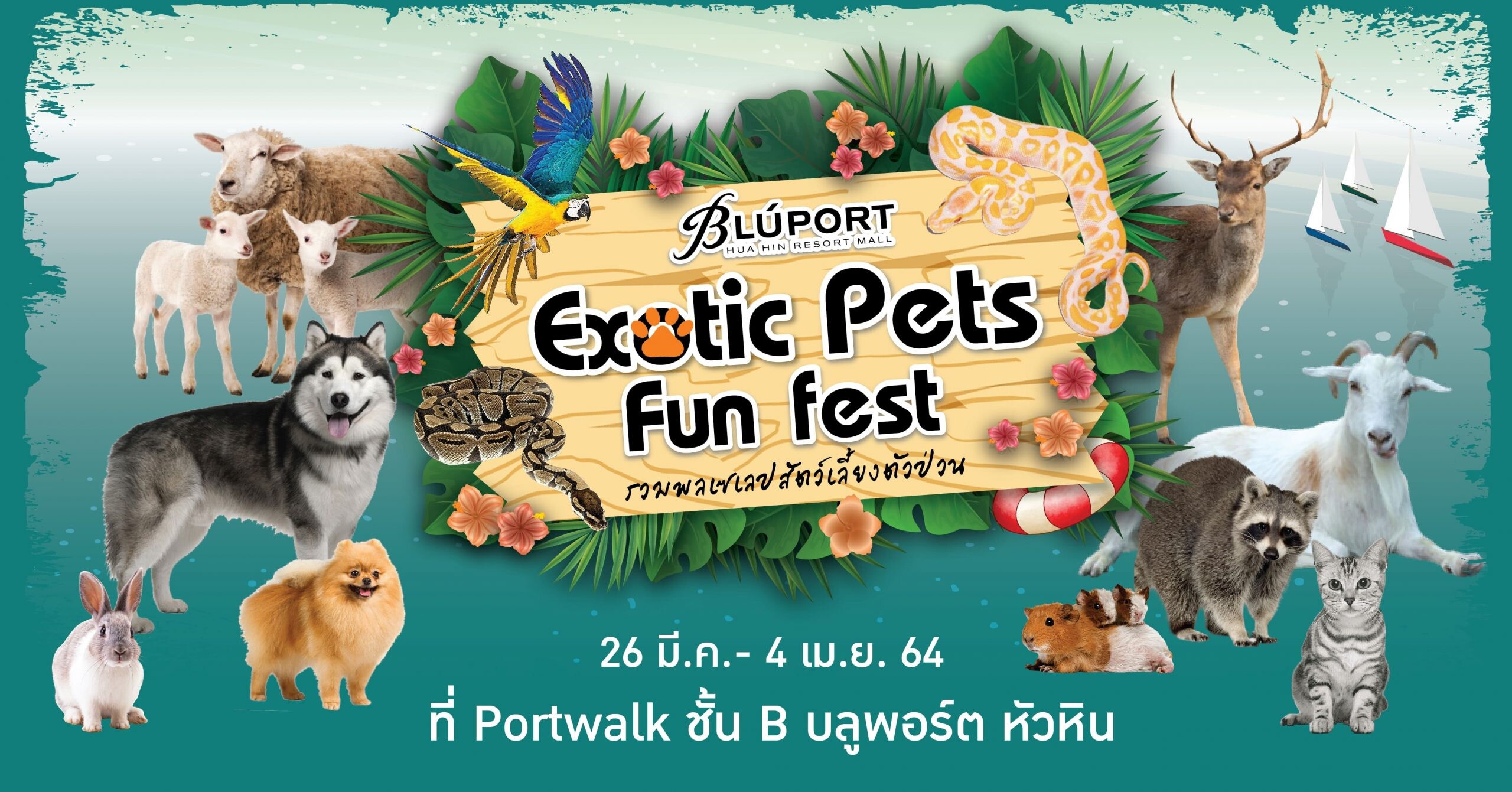 ซัมเมอร์นี้มีฟิน บลูพอร์ตหัวหิน เอาใจคนรักสัตว์เลี้ยงแสนรักในงาน Exotic Pets Fun Fest รวมพลเซเลปสัตว์เลี้ยงตัวป่วน