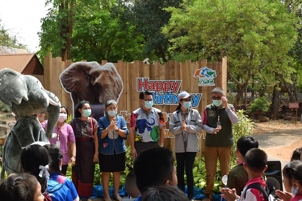 สวนสัตว์นครราชสีมาจัดฉลองวันเกิดสุดพิเศษครบรอบ 8 ขวบ ให้กับน้องสีมาลูกช้างแอฟริกาตัวเดียวในประเทศไทยกับเค้กผักและผลไม้ขนาดใหญ่