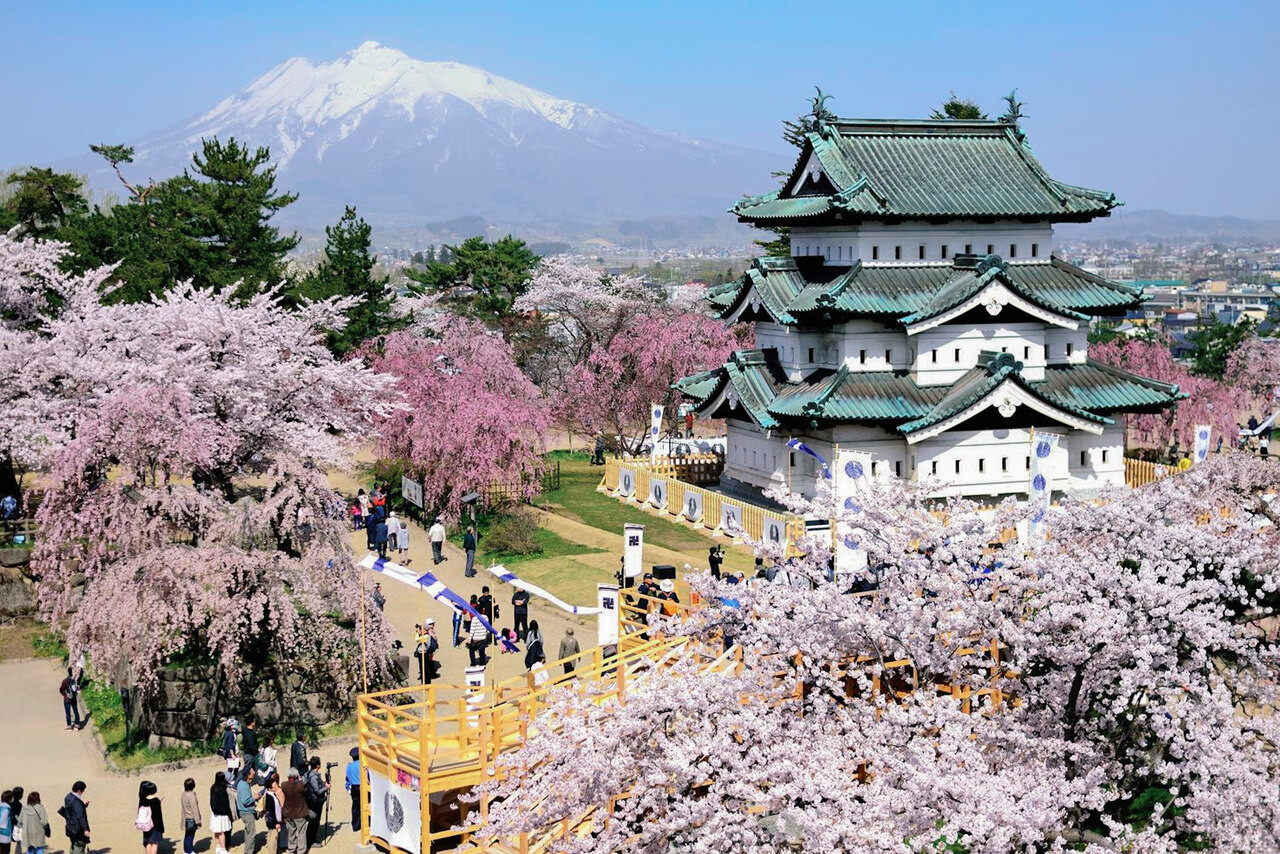 3 สถานที่ชมซากุระยอดนิยมในเขตมิจิโนะคุ ภูมิภาคโทโฮคุ ประเทศญี่ปุ่น เที่ยวต่างประเทศได้เมื่อไหร่ เตรียมไปเที่ยวกับ JR EAST กัน !