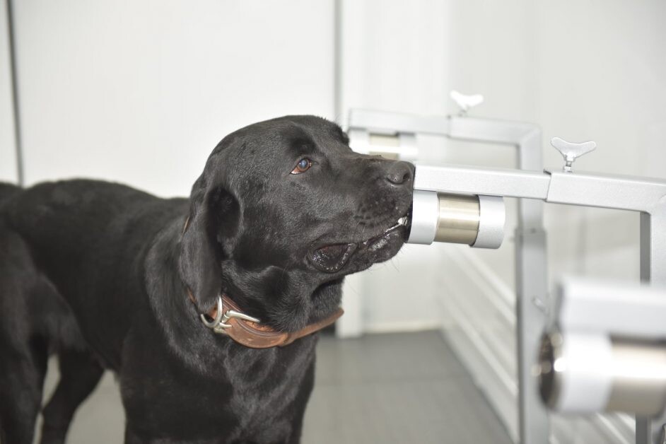 วิศวฯ จุฬาฯ บูรณาการความร่วมมือพัฒนา "รถดมไวเพื่อนำสุนัขดมกลิ่นคัดกรอง COVID-19 ออกปฏิบัติงานภาคสนาม"