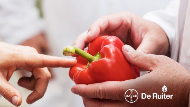 ไบเออร์เปิดตัว "Vegetables by Bayer" แพลตฟอร์มแบรนด์ใหม่เพื่อเน้นย้ำถึงความมุ่งมั่นที่มีต่อลูกค้าและพันธมิตร