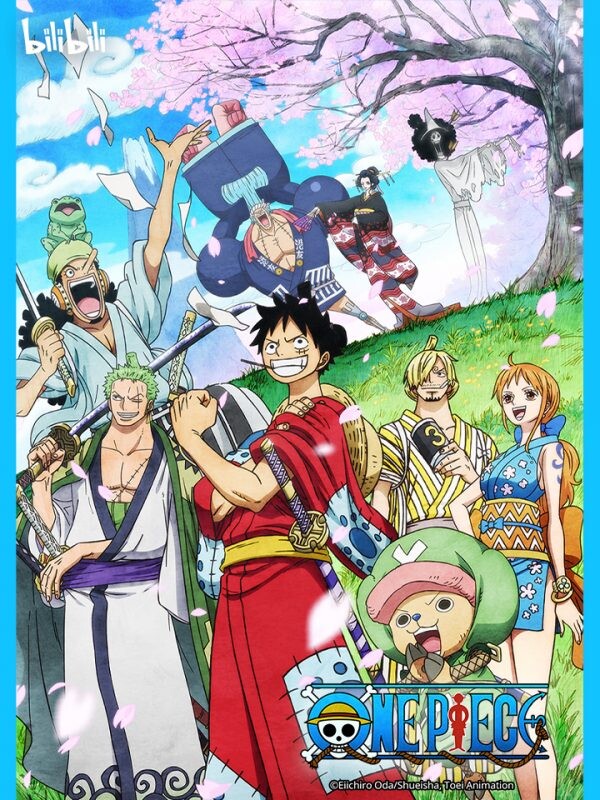 One Piece Devil Fruit Bounties - BiliBili