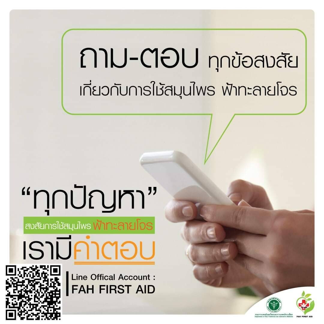 กรมการแพทย์แผนไทยฯ เปิดตัว LINE OA : FAH FIRST AID ช่องทางติดต่อข้อมูล "สมุนไพรฟ้าทะลายโจร" ครบวงจร