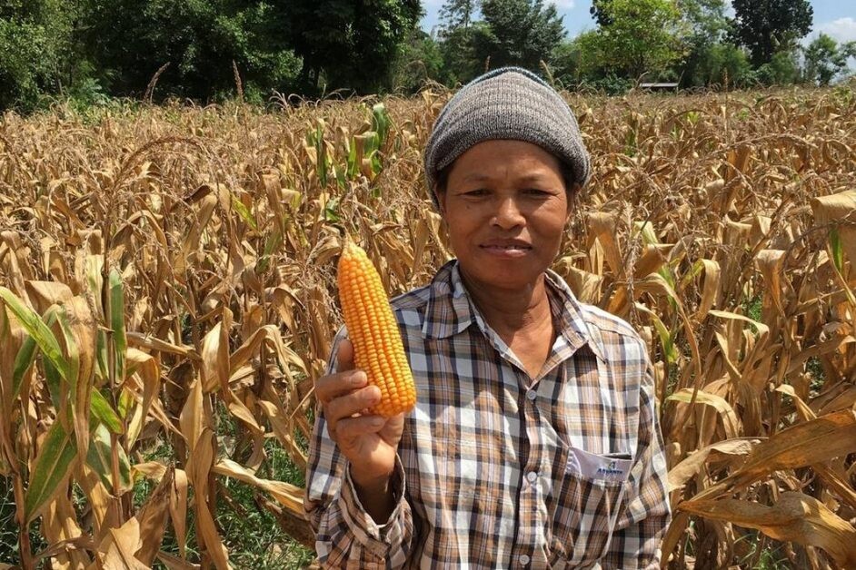 CP Foods urge maize growers to join digital traceability program, ensuring the sustainable sourcing