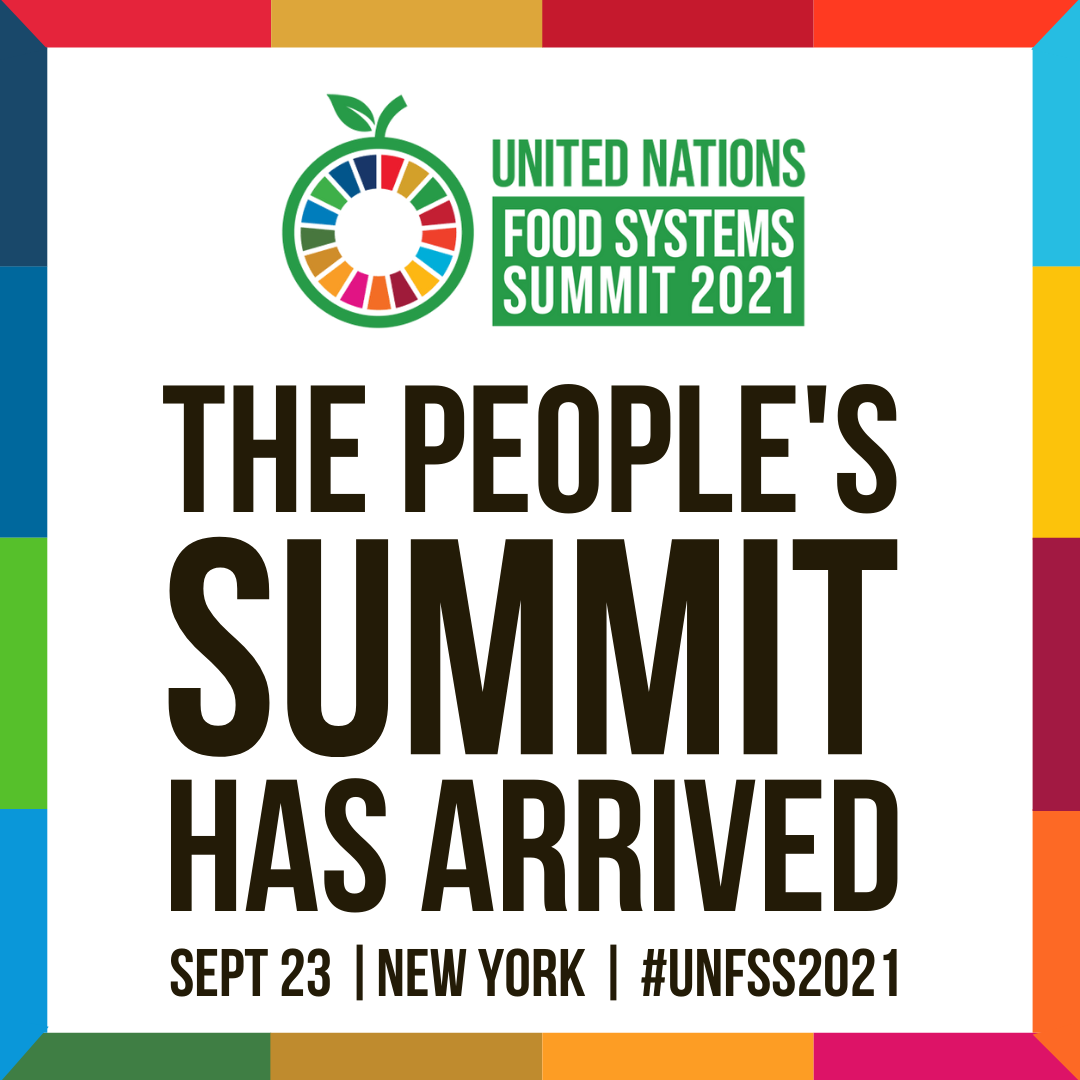 จากเวที UNFSS ถึงแผนชาติ ฉ.13 อนาคตระบบอาหารจะไปถึงไหน ?