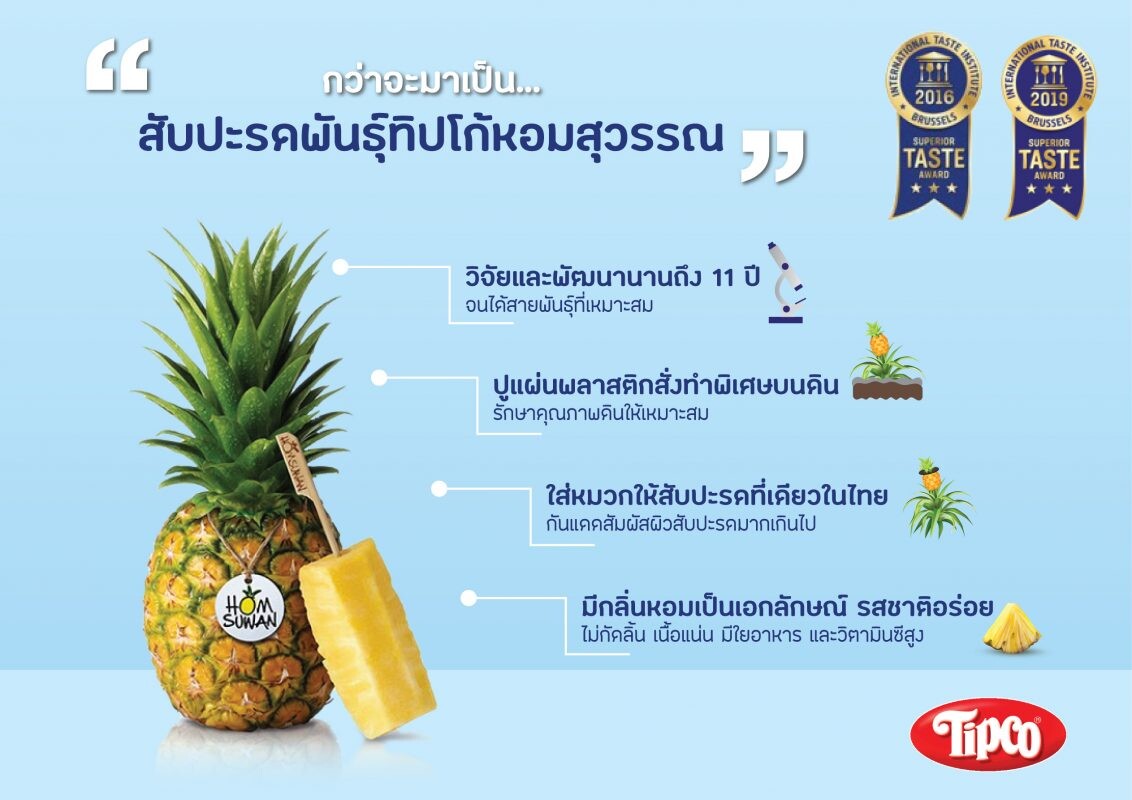 เจาะกลยุทธ์ R&D สับปะรดพันธุ์ "ทิปโก้หอมสุวรรณ" หัวหอกความสำเร็จ Fruit Business ของทิปโก้ กับโอกาสส่งออกสินค้าเกษตรไทยในยุคโควิด-19
